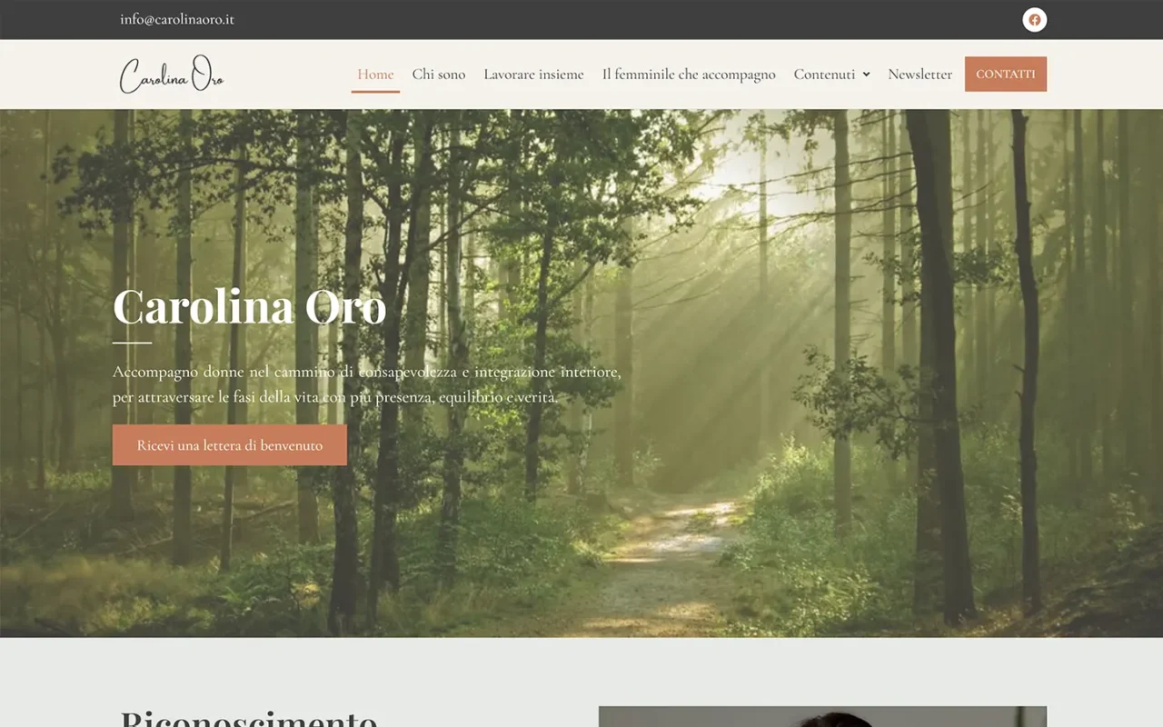 Carolina Oro website on desktop