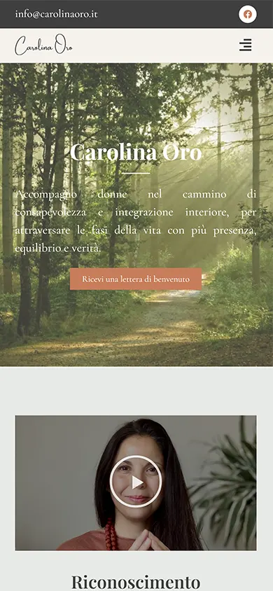 Carolina Oro website on mobile
